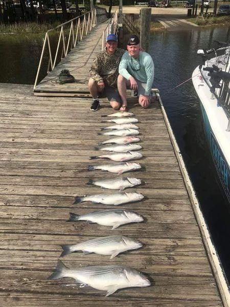 Four big fish caught while fishing