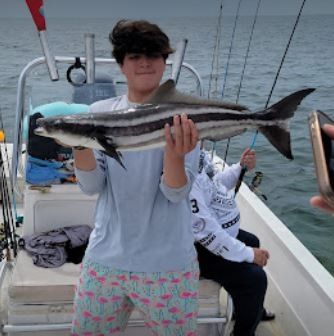 Cobia fish caught while fishing