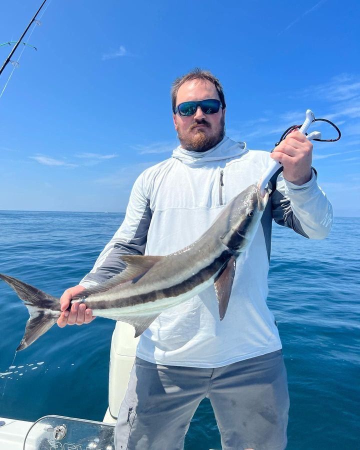 Cobia fishing in unknown location