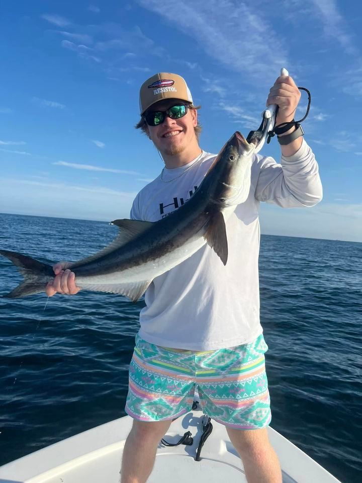 Magnificent cobia, 19 inches, caught while fishing