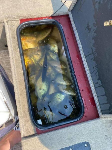 Scenic fishing spot with beautiful location