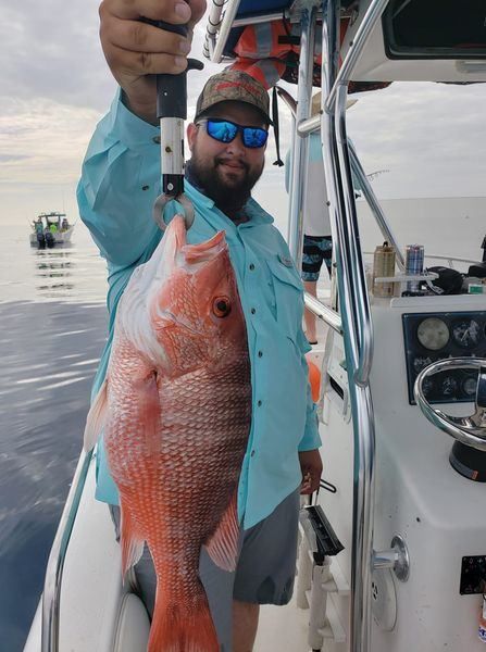 A grey snapper, a 26-inch fish caught while fishing