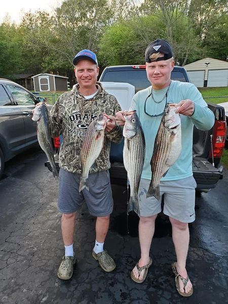 4 striped bass caught while fishing