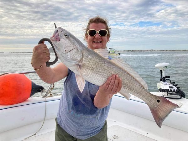 Redfish caught while fishing