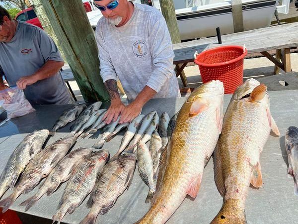 Three fishing rods with a scenic landscape in the background