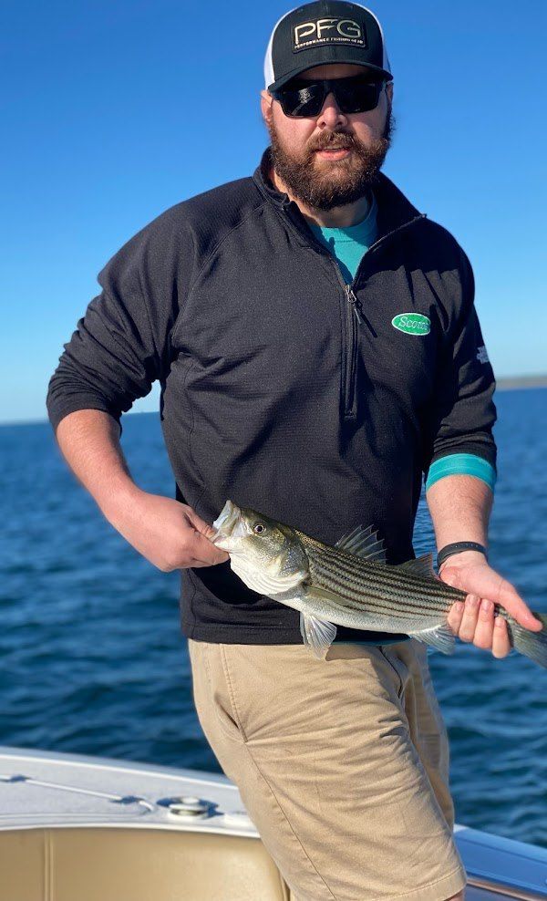Striped bass caught while fishing