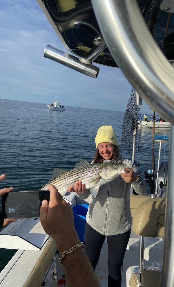 Striped bass fishing catch