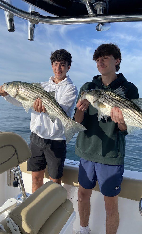 Two striped bass caught while fishing
