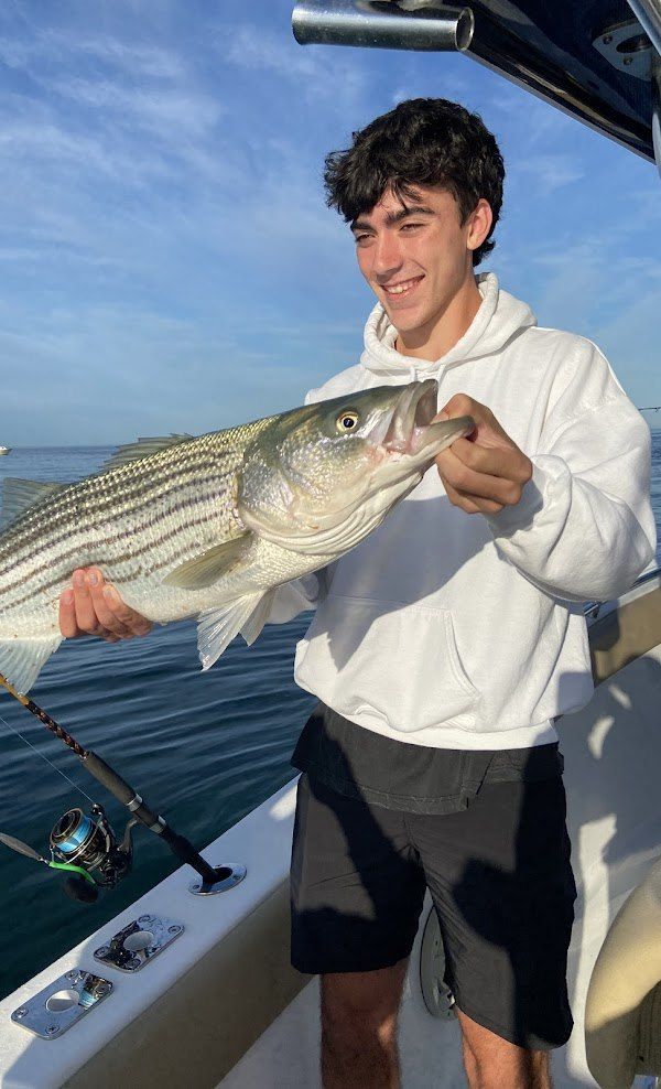 Striped Bass, 18 inch fish caught while fishing