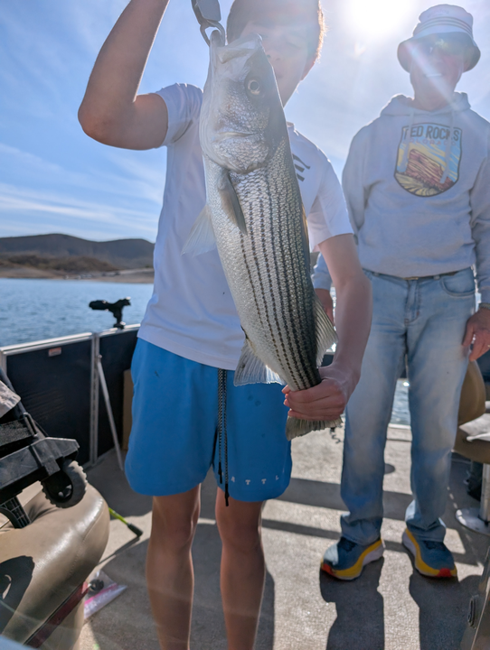 Caught a beauty on the lake!