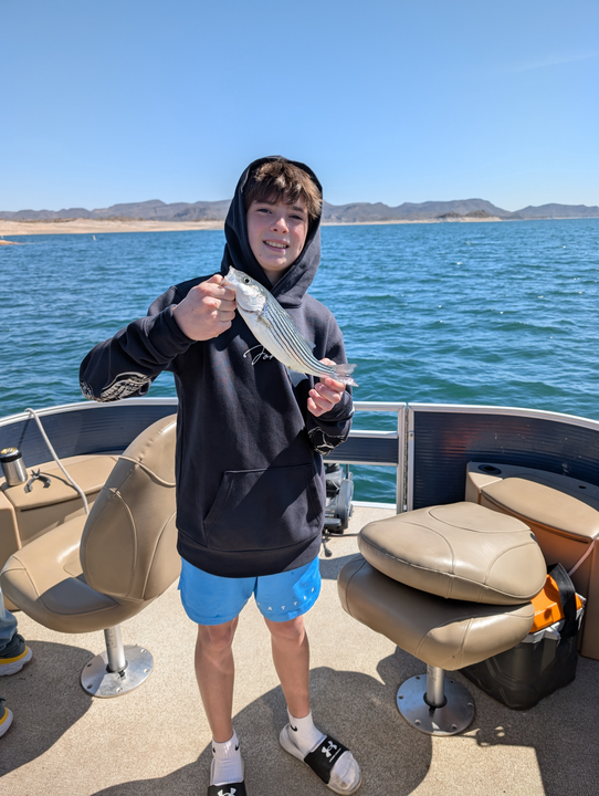 Idyllic day out on the lake.