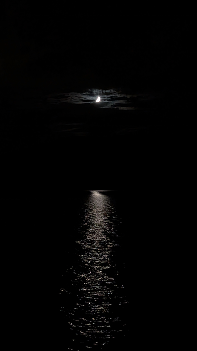 Perfect night for jigging and trolling with light tackle under the moonlight.