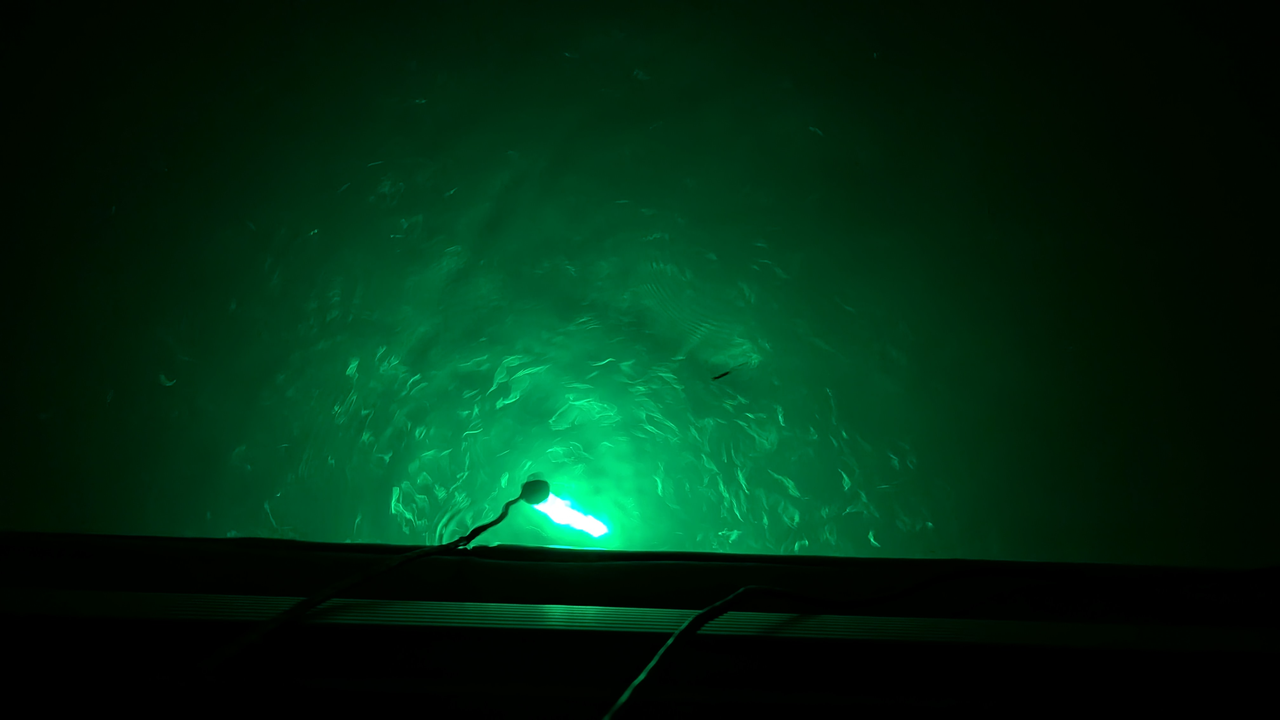 Clear skies and prime jigging conditions in Morristown AZ!