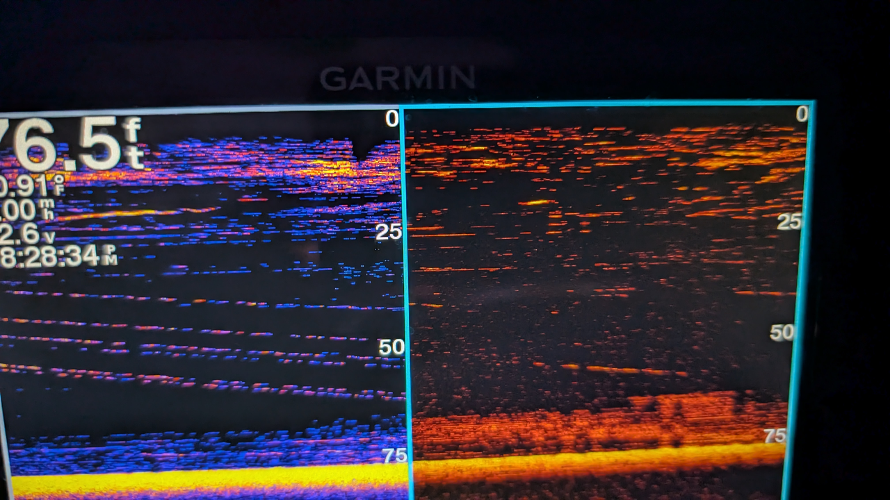 Clear skies and light tackle: the perfect recipe for fishing success!