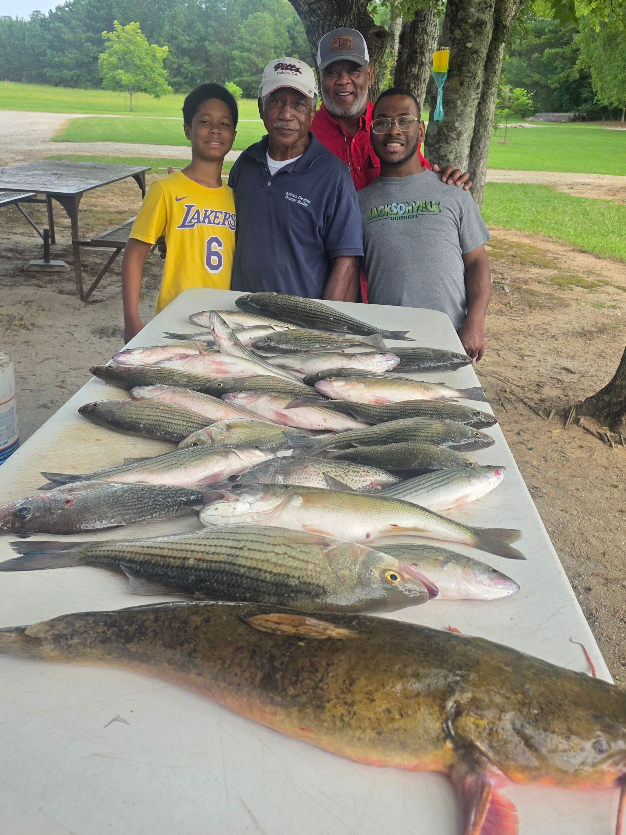 Successful fishing trip display with flathead catfish and striped bass catch laid out on cleaning table