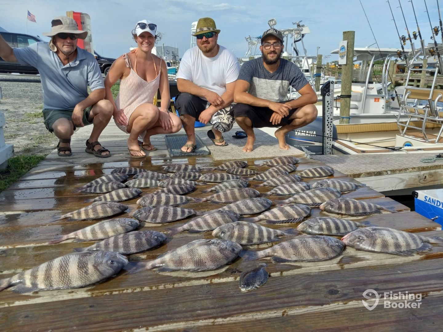 Sheepshead and black drum fish caught during fishing trip