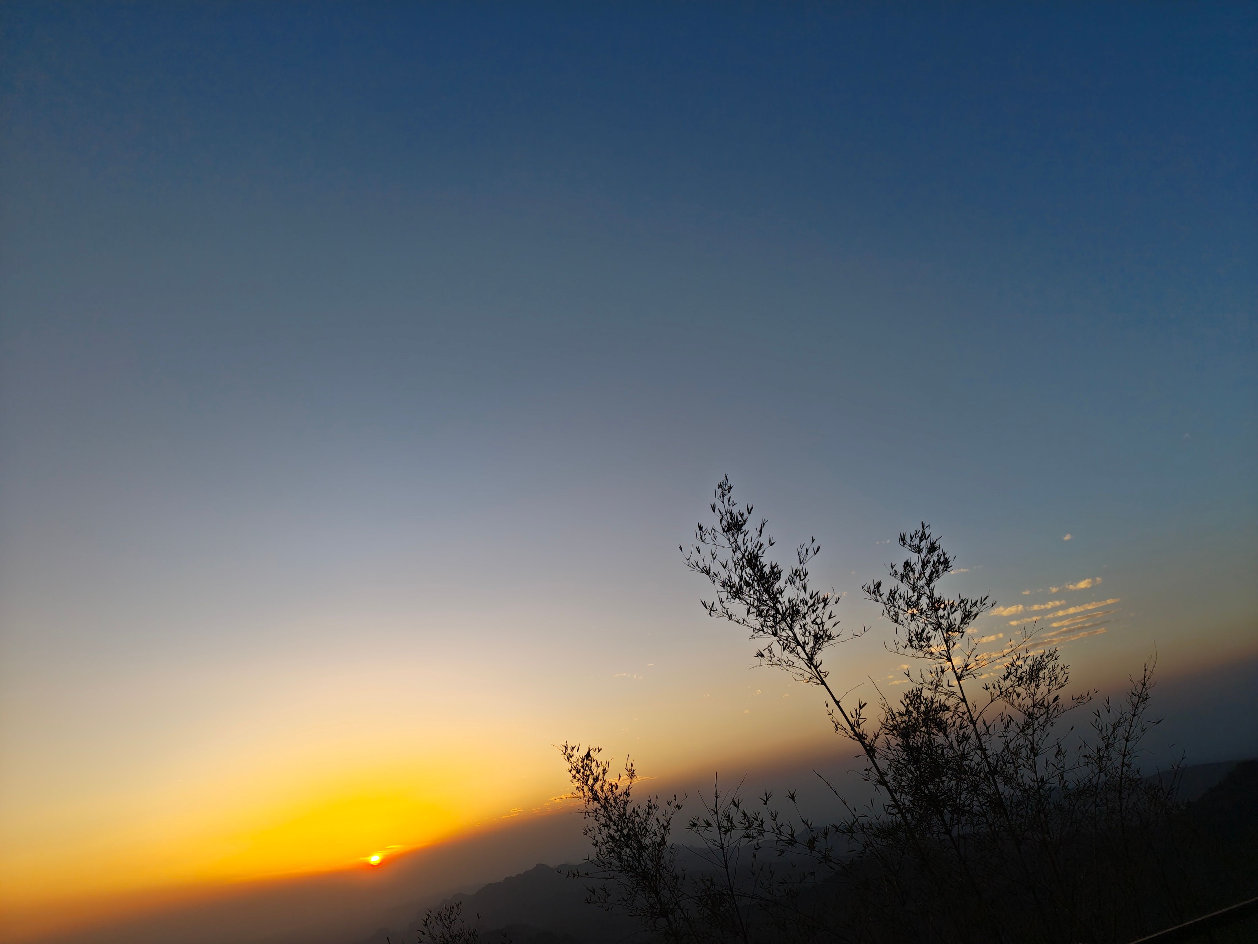 Sunset view through silhouetted vegetation with mountains in background during outdoor adventure