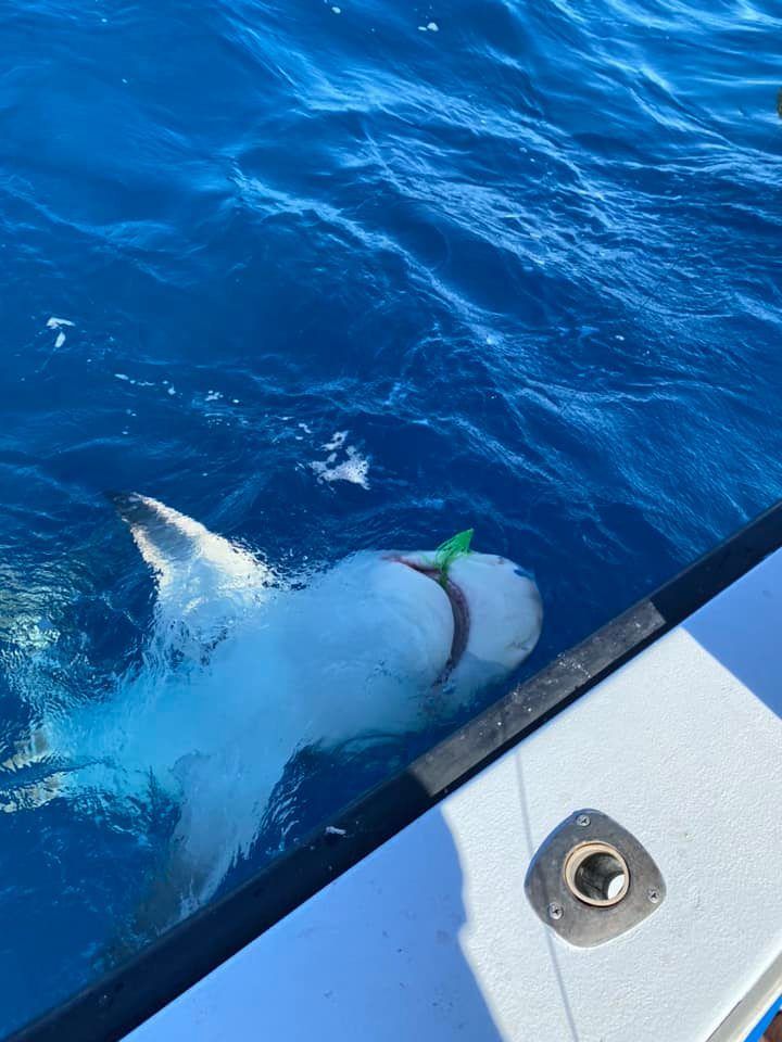Fishing at unknown location