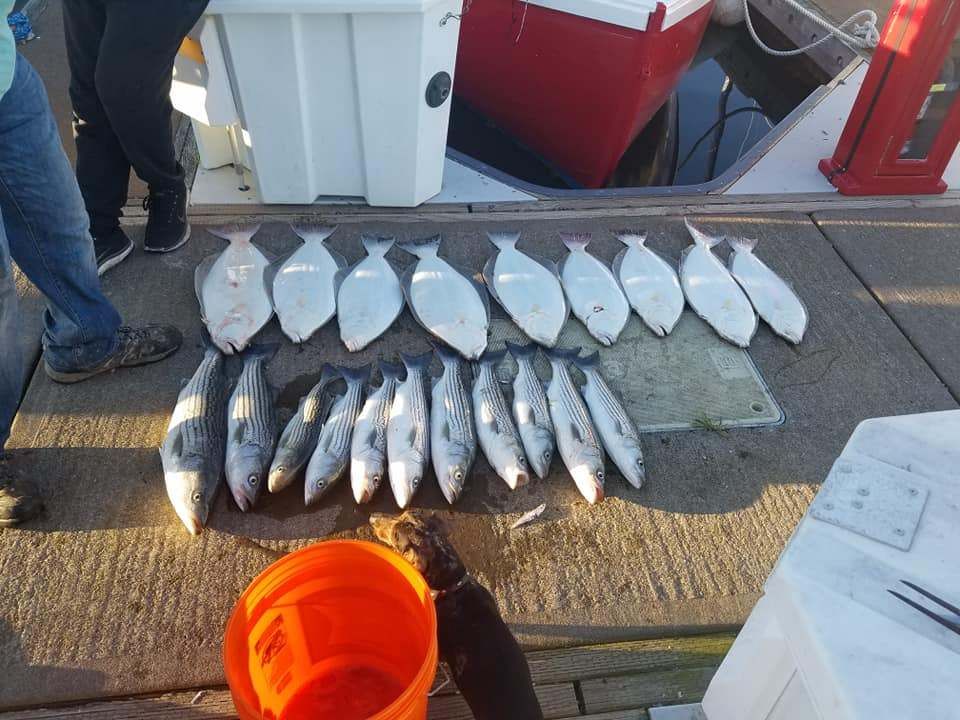 Fishing at Unknown Location