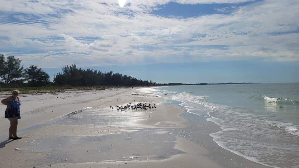 Angler fishing on the shore at an unnamed location