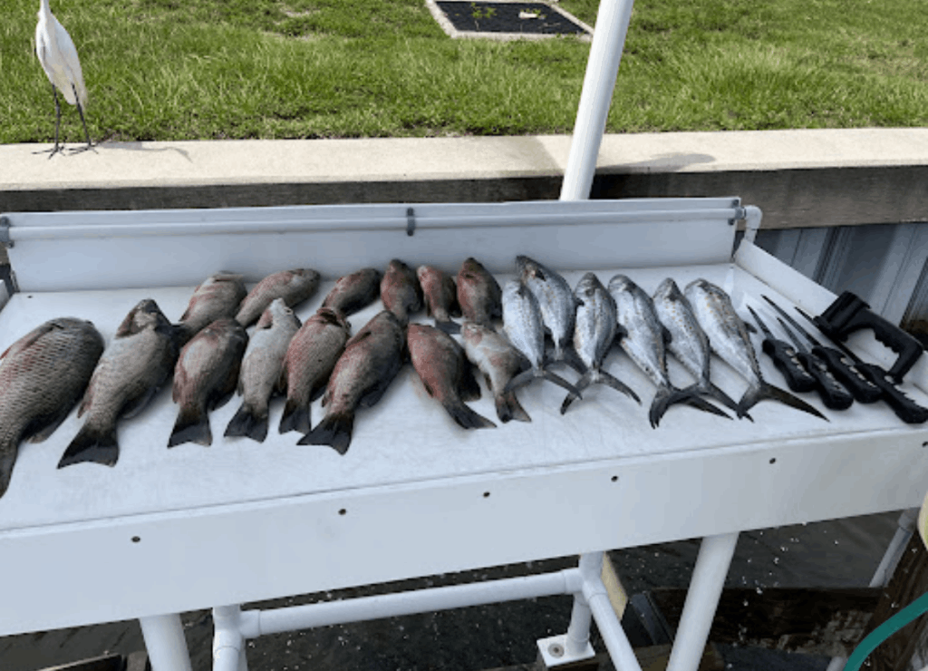 Fishing at unknown location with 8 fish