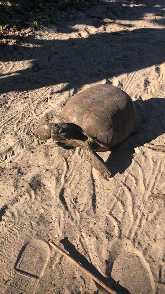 Scenic fishing spot in unknown location