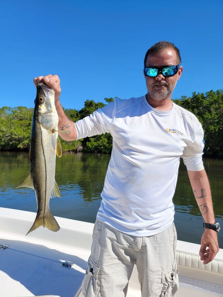 Snook fish being caught by person fishing