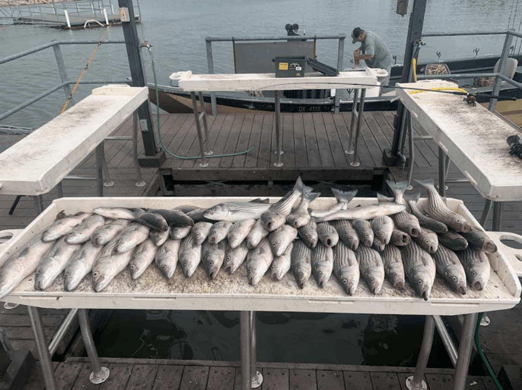 Fishing at an unknown location