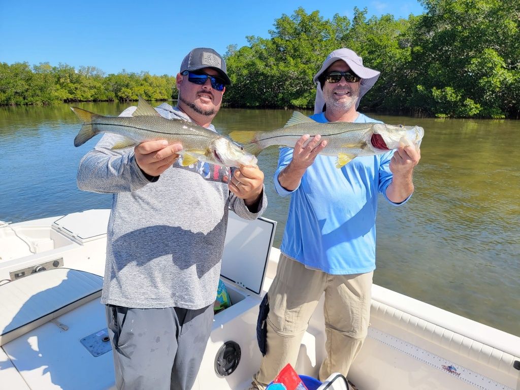 Two snook fish caught while fishing