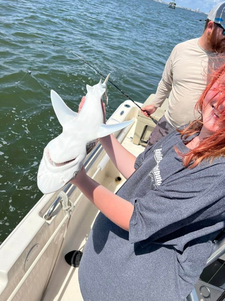 Tawny nurse shark caught while fishing