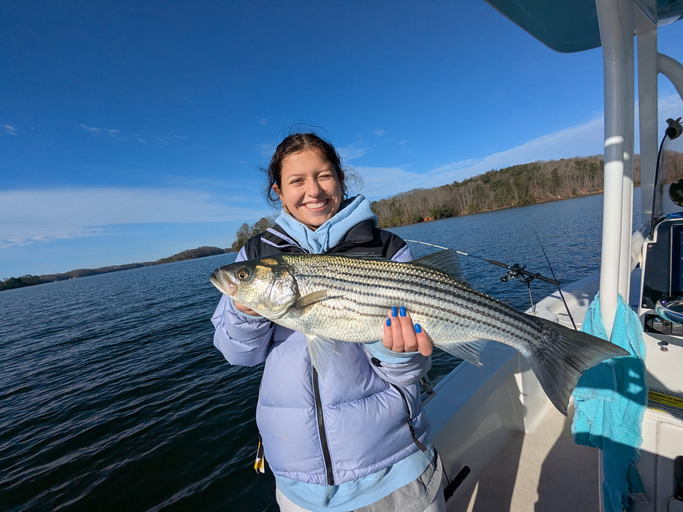 Catching some nice ones out on the lake today.