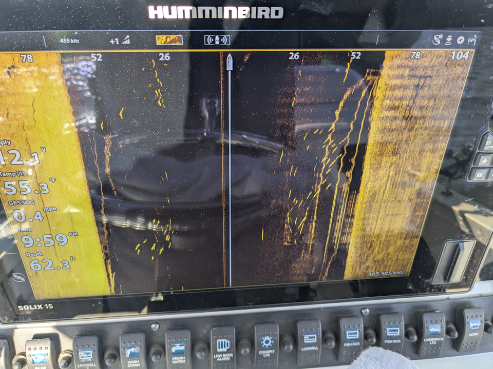 Caught a couple keepers on the ol' Humminbird today.