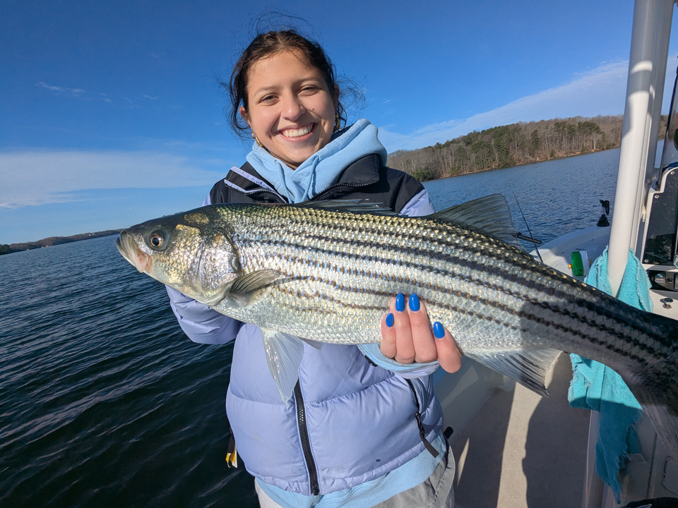 "A great day to reel in a catch on the lake."