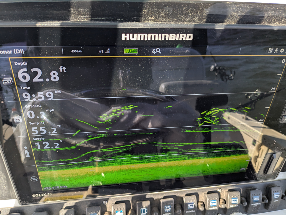 Hooked a nice one on the old Humminbird.