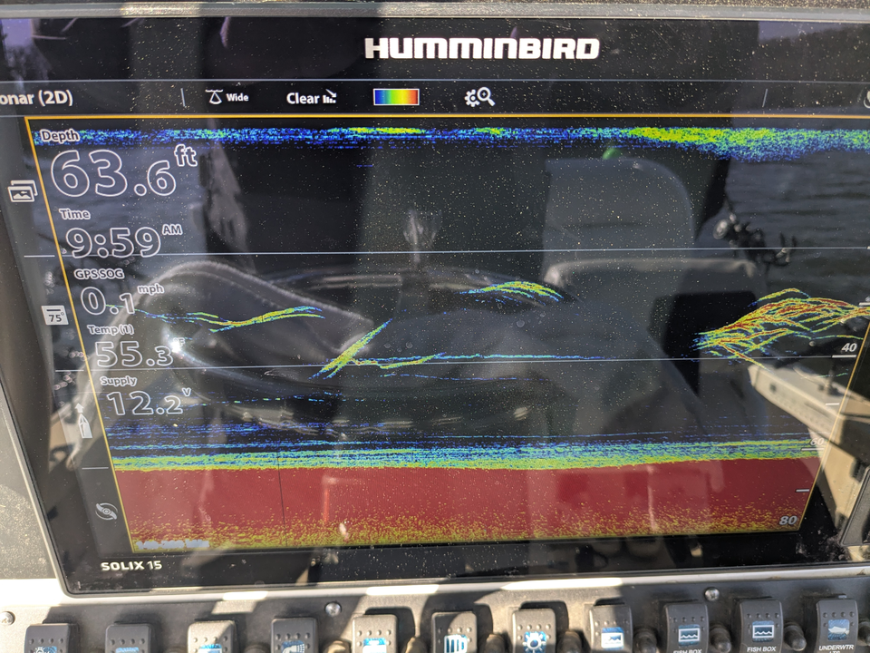 Sonar says there's more down there than just the usual suspects.