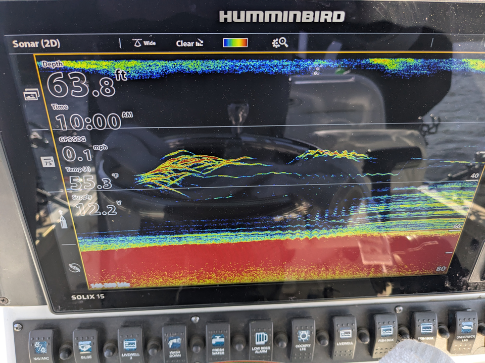 Sonar sights on the lake, reeling in a keeper.