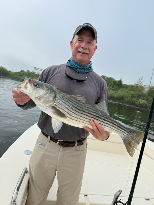 Landed a feisty striped bass while casting light tackle at the marina!