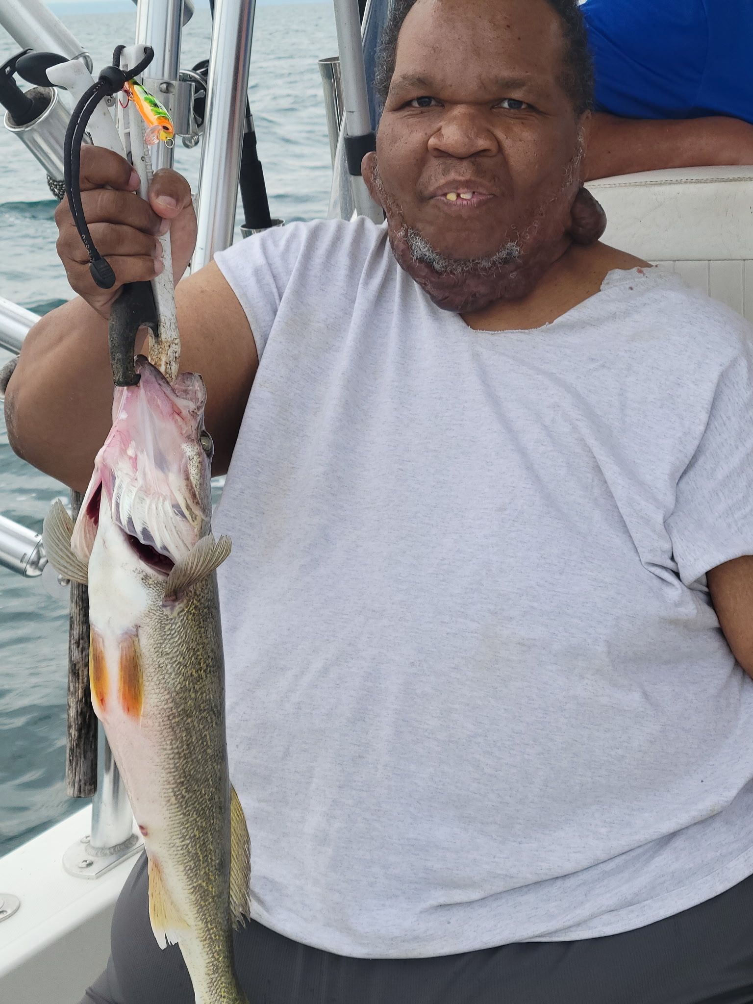Fresh caught walleye displayed on fishing boat