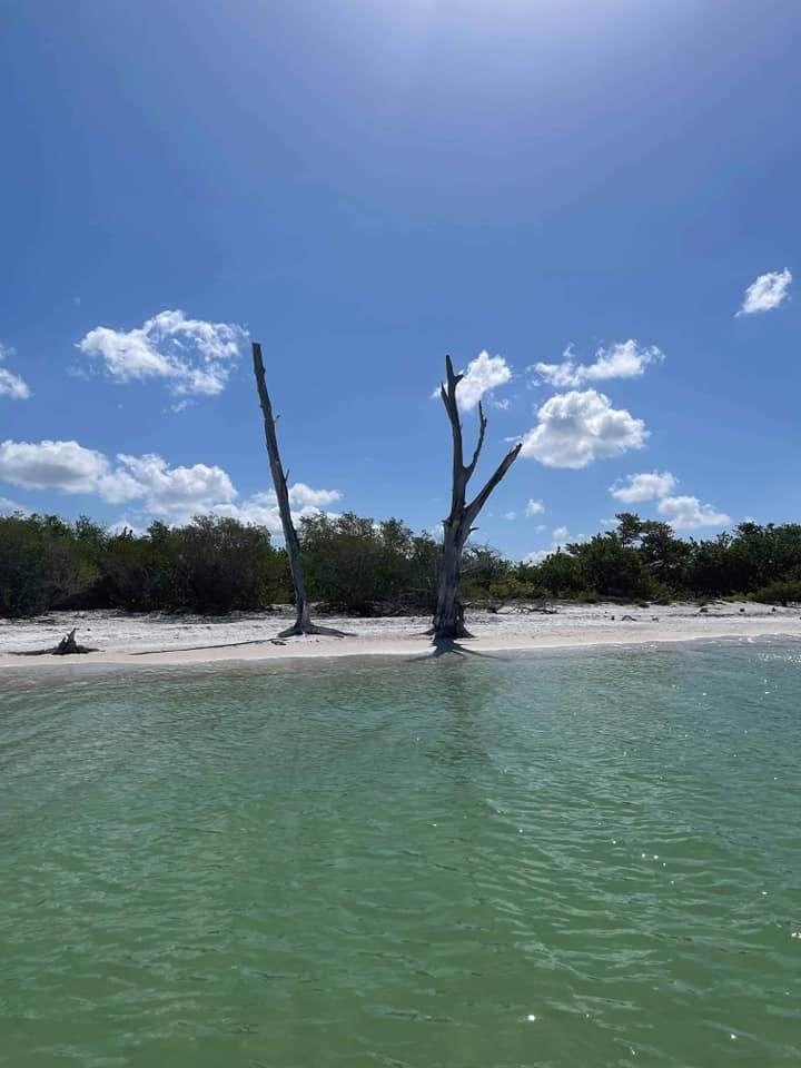 Fishing at a scenic location