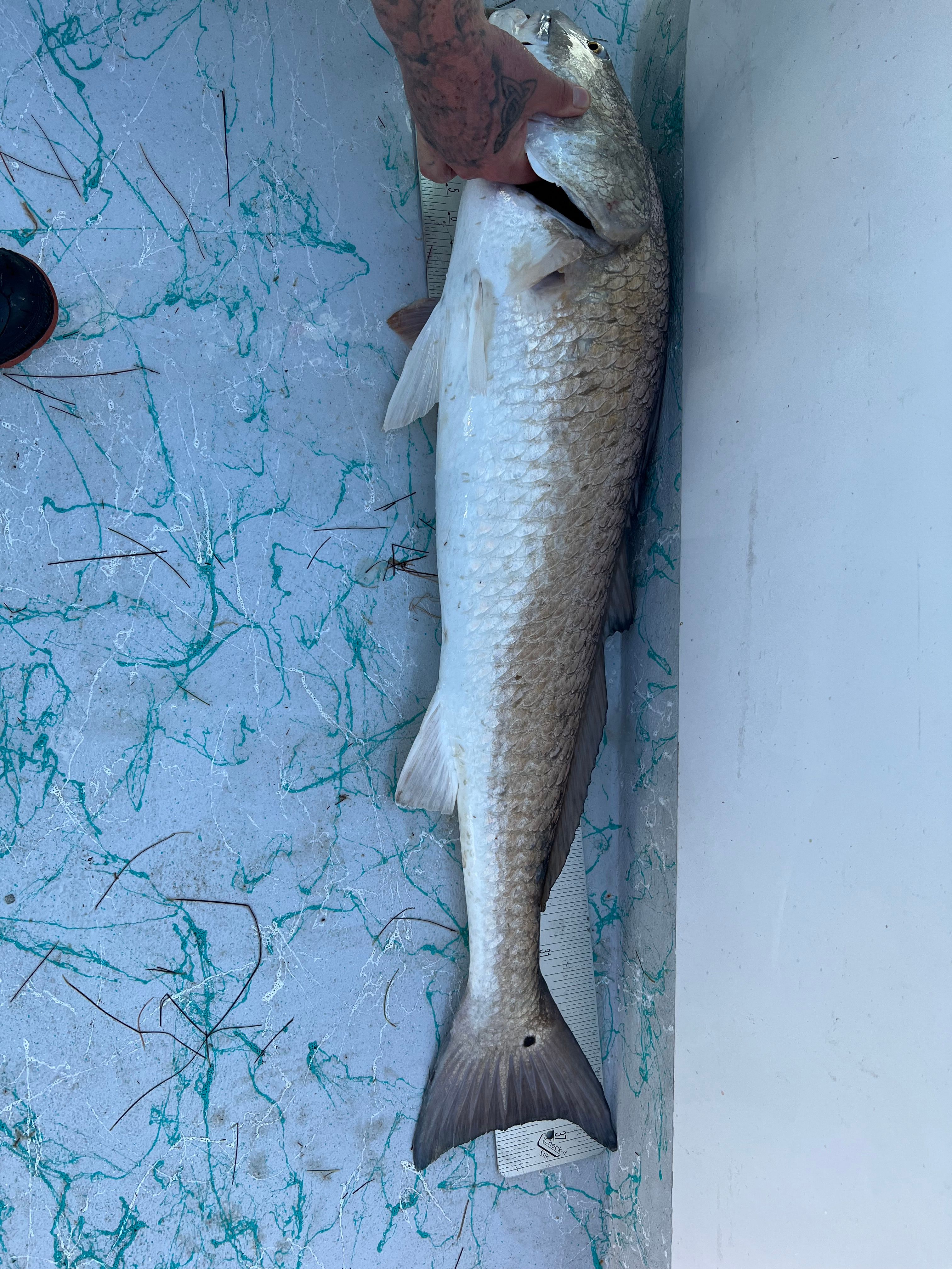 Fishing in Unknown Location