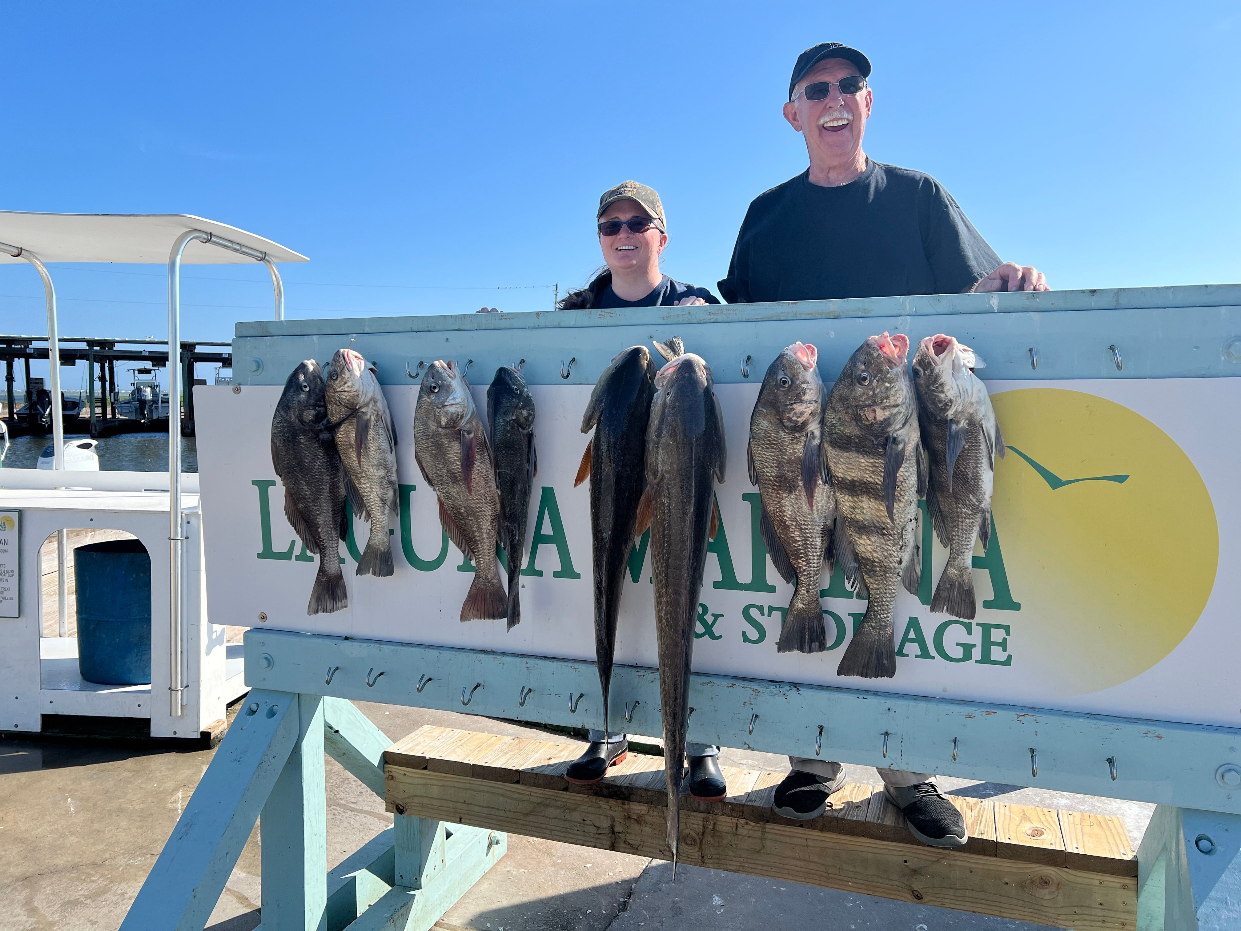 6 Black Drum fish caught during a fishing trip