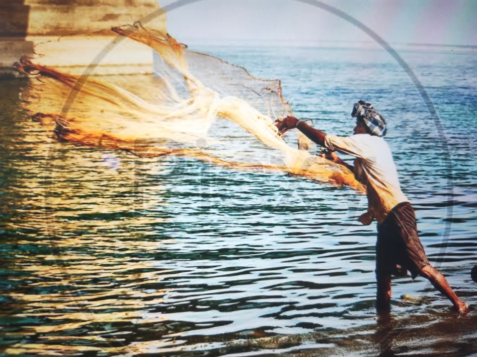 Net fishing from the Florida NY shoreline.