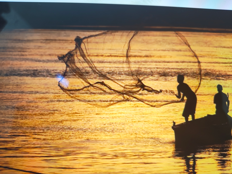 Golden hour net fishing in Florida NY waters.
