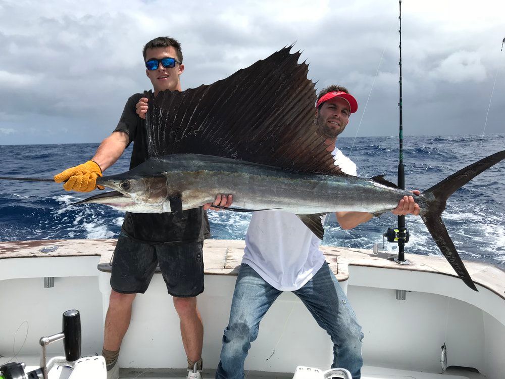 Exciting catch of an Atlantic Sailfish!