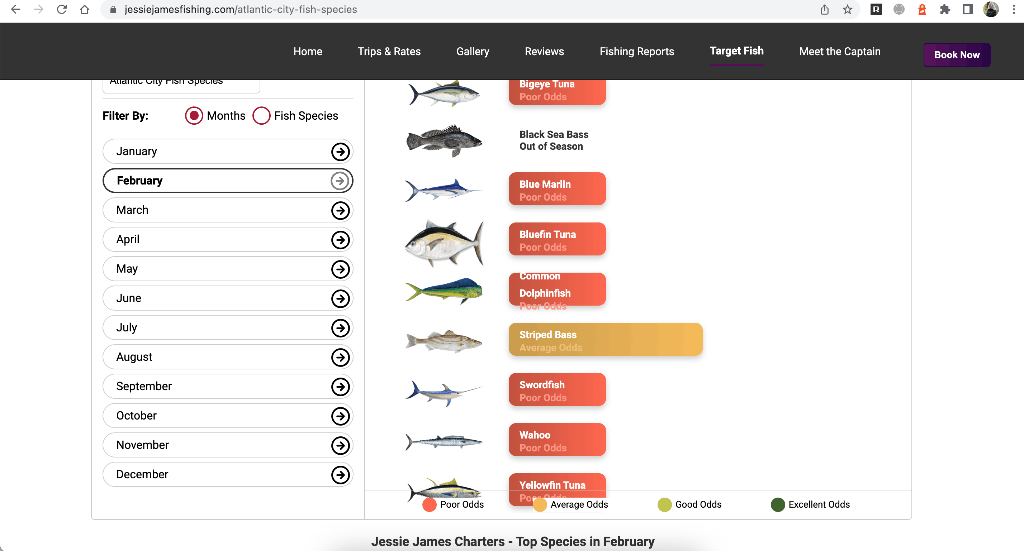 Fishing at a scenic location