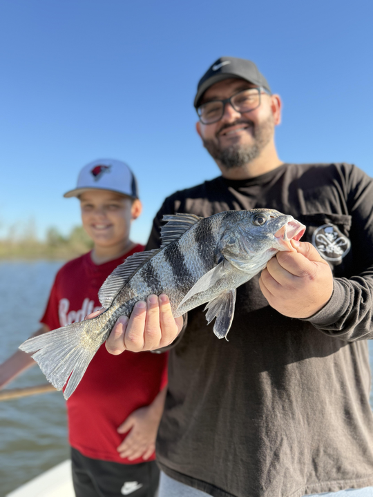 Nice Black Drum caught using deep sea light tackle! Afternoon clearing made for perfect fishing conditions.