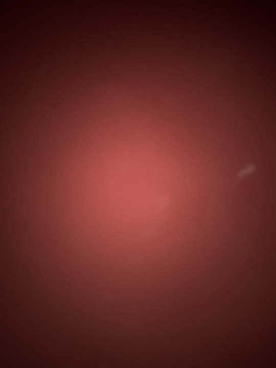 Clear skies and perfect conditions for casting lines in Steinhatchee!