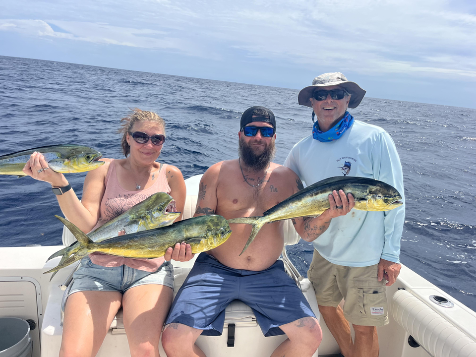 Huge Mahi Mahi triple threat landed off West Palm Beach!