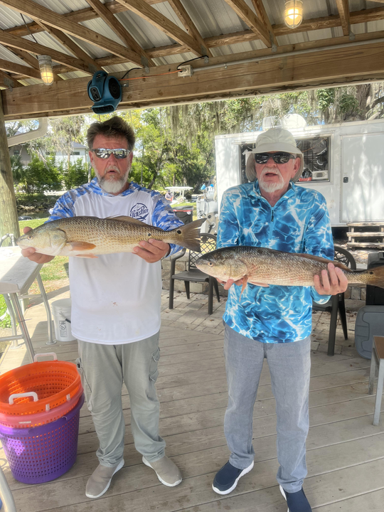 Nice redfish caught using light tackle today!