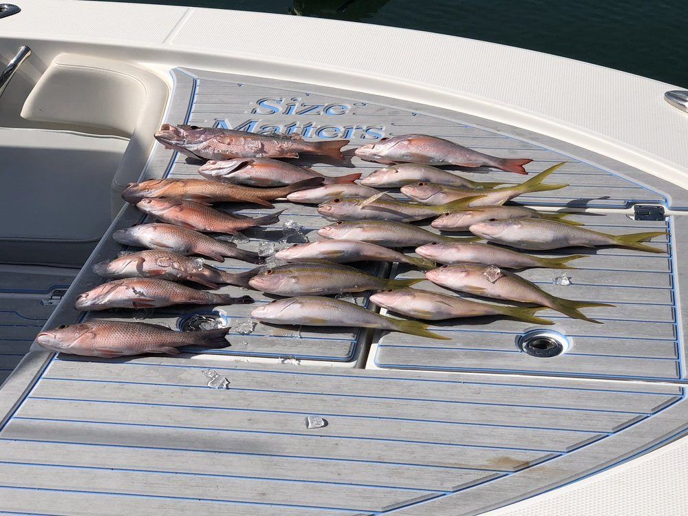5 great barracuda fish caught while fishing